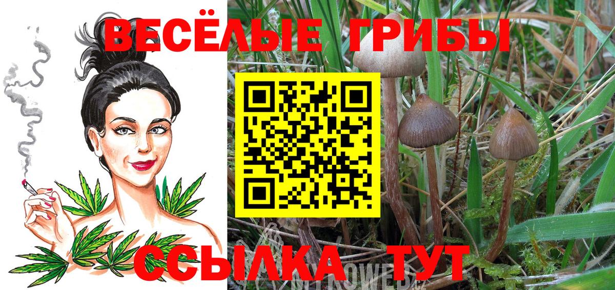 Где купить  Меф МЯУ МЯУ кристаллы  МЕФ  Орёл  Вход с VPN  КОКАИН  Гашиш  МАРИХУАНА 